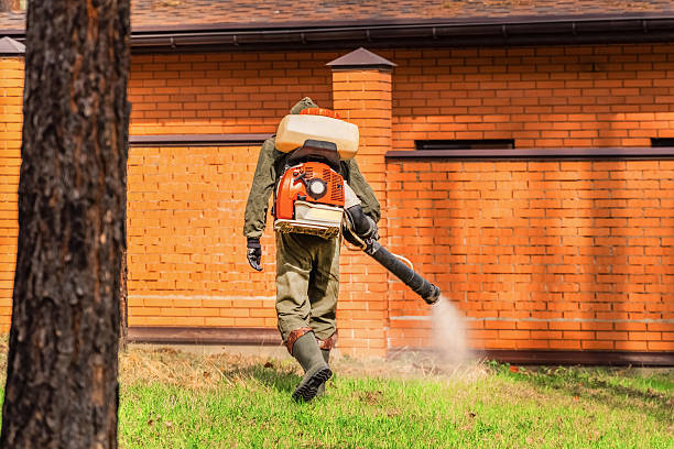 Trusted Bed Bug Control service in West Grove, PA - Nex Pest Control